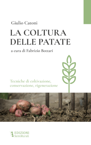 La coltura delle patate