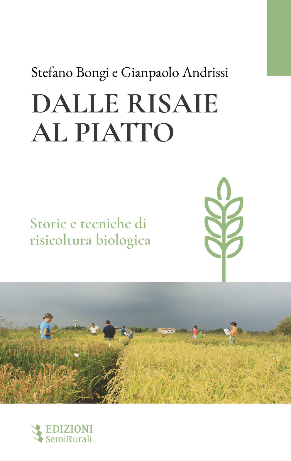 Dalle risaie al piatto